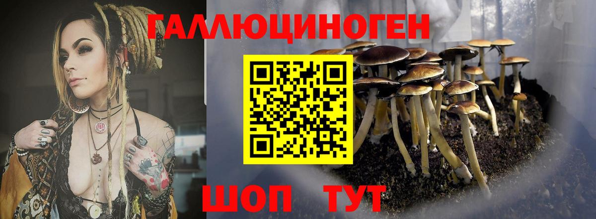 Галлюциногенные грибы Cubensis  Вход с VPN  Грозный 