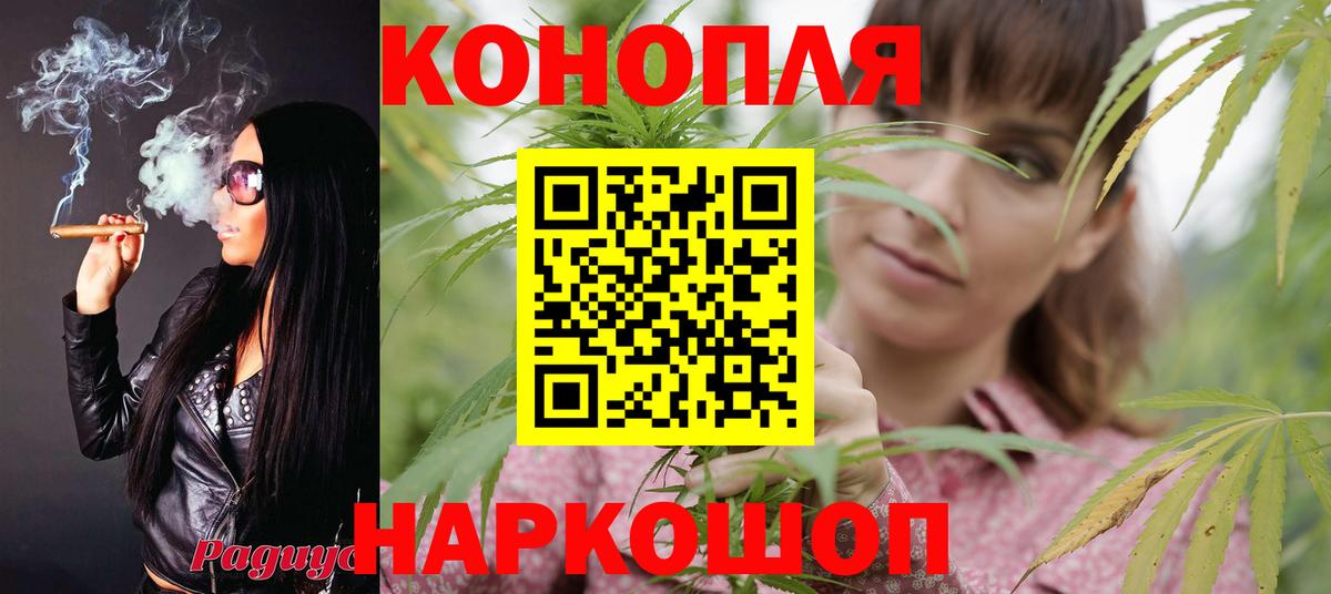 Грозный  Каннабис SATIVA & INDICA  Конопля сатива  Вход с VPN  Марихуана VHQ 